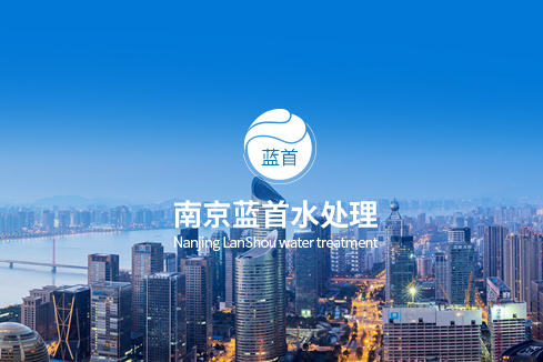 汉阴建站-南京蓝首水处理设备有限公司